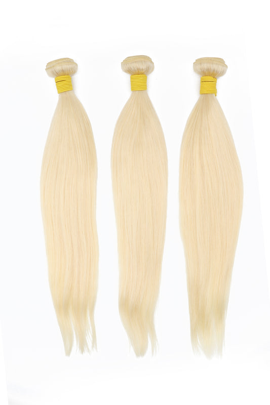 Top Virgin Hair Straight Brazilian Hair Bundle #613