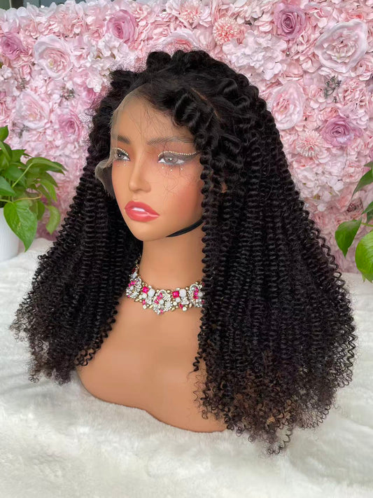 Top Burmese Virgin Hair 13x4 13x6 HD Frontal Wig Kinky Curly  #1B